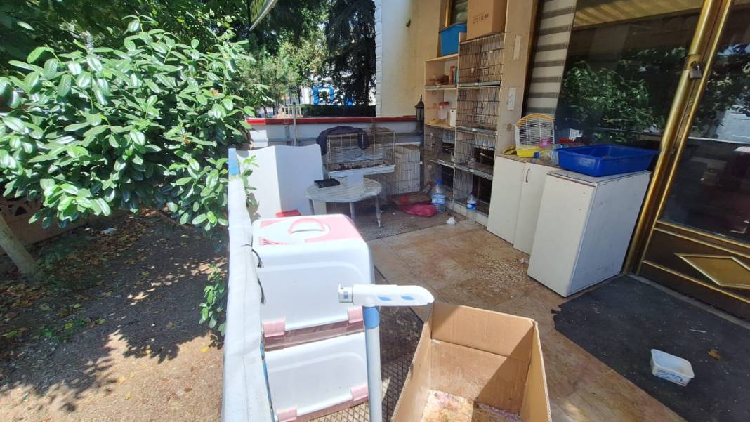 Kocaeli'de pet shop katliamı: Dükkanımın önüne hayvanlarımın ölüsünü atmışlar 5